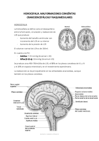 B2. TEMA 23. HIDROCEFALIA. MALFORMACIONES CONGÉNITAS CRANEOENCEFÁLICAS Y RAQUIMEDULARES.pdf