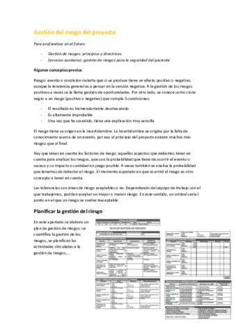 11. Gestión del riesgo del proyecto.pdf