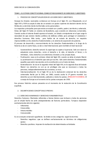 TEMA 1.pdf