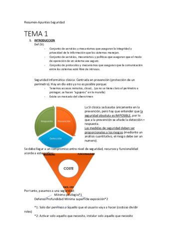 Seguridad-Resumen-Apuntes.pdf