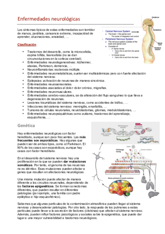 Enfermedades neurológicas.pdf