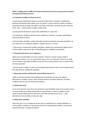 RESUMEN TOMO I - LECCIONES DE DERECHO PENAL PG.pdf