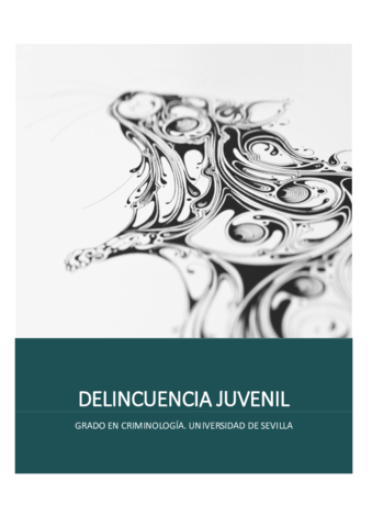 TEMARIO DELINCUENCIA JUVENIL.pdf