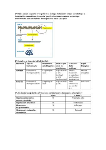 Autoevaluación 2 Bioquímica.pdf