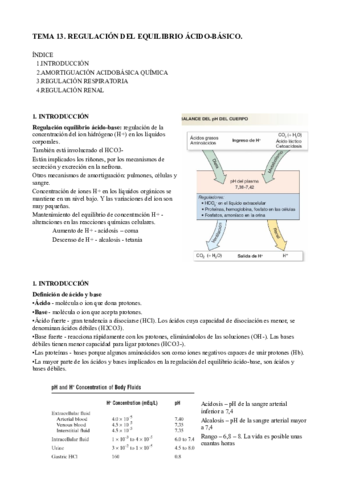 T13. Regulación ácido base.pdf