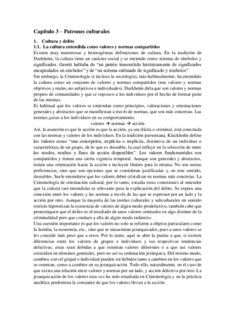Capítulo 3 - Patrones culturales.pdf