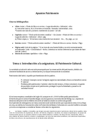 Patrimonio.pdf
