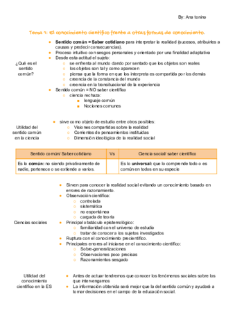 Tema 1 (2).pdf