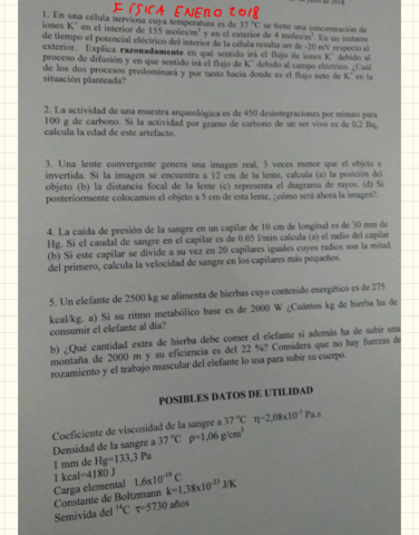 Fisica enero 2018.pdf