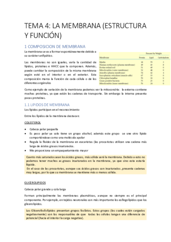 T4 membrana.pdf