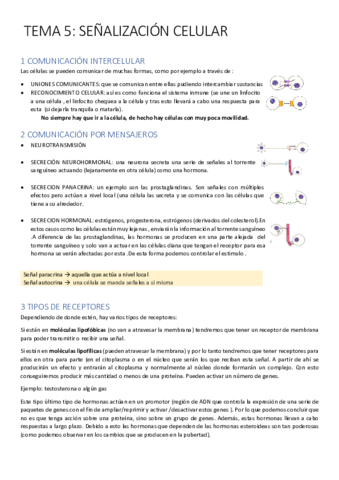 T5 señalización.pdf