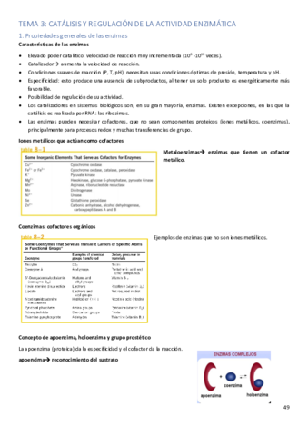 T3 señalización.pdf