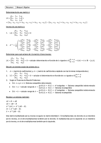 Resumen BLOQUE I.pdf