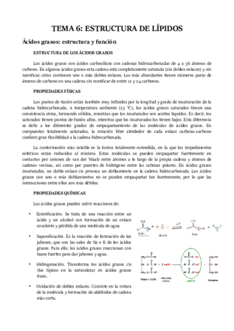 TEMA 6.pdf