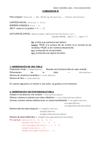 COMANDOS R1.pdf