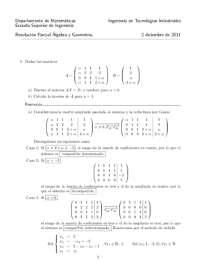 Examen Diciembre 2011.pdf