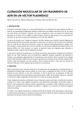 MEMORIA MMB Definitiva.pdf