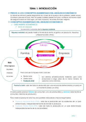 TEMA 1.pdf