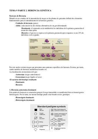 T9B. Herencia genética.pdf