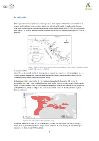 Informe crecimiento Sardina pilchardus.pdf