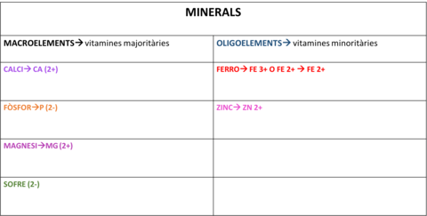 MINERALS.png