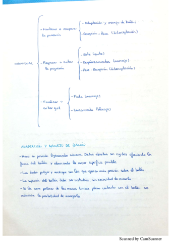 Apuntes Teoría Balonmano.pdf