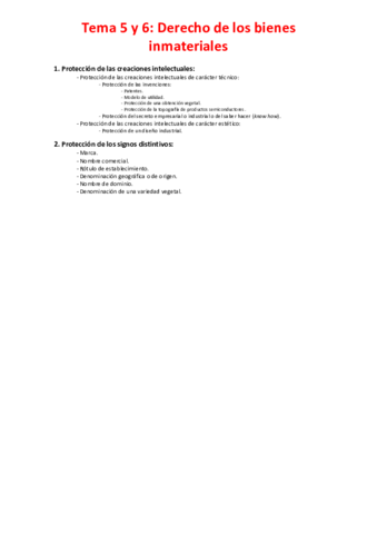 Tema 5 y 6 - Derecho de los bienes inmateriales.pdf