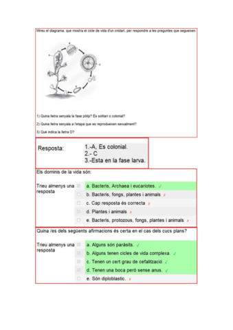 bloc4bio.pdf