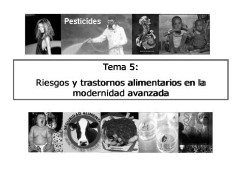 Tema 5 castellano alimentacion y cultura.pdf