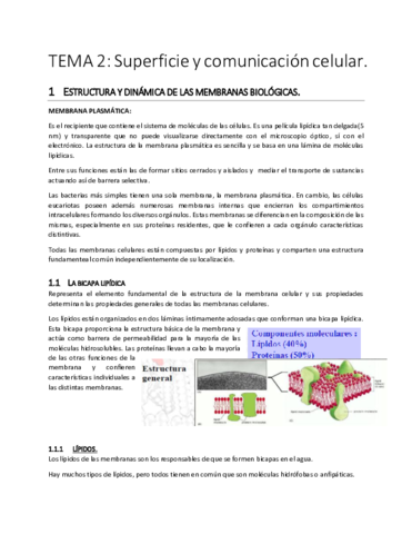 TEMA 2.pdf