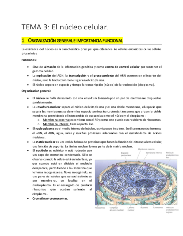 TEMA 3.pdf