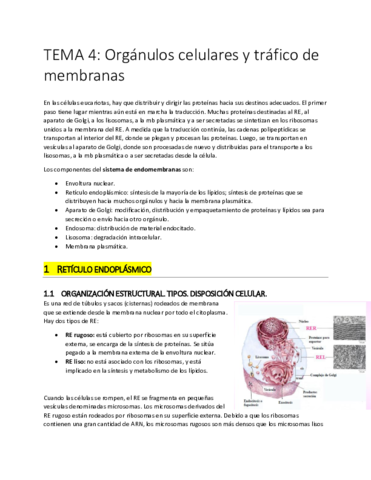 TEMA 4.pdf