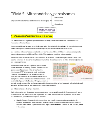TEMA 5.pdf