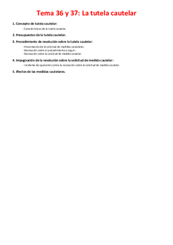 Tema 36 y 37 - La tutela cautelar.pdf