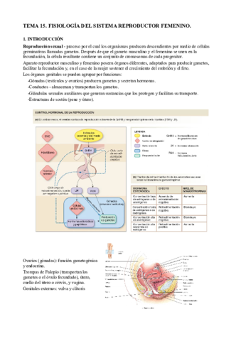 T15. Reproducción femenina.pdf