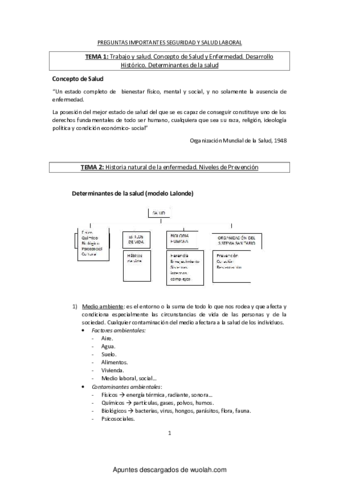 PREGUNTAS IMPORTANTES SEGURIDAD Y SALUD LABORAL.pdf