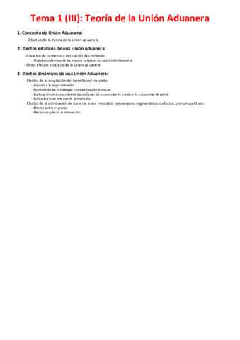 Tema 1 (III) - Teoría de la Unión Aduanera.pdf