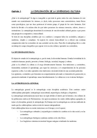 Resumen_kottak_espejo_para_la_humanidad.pdf