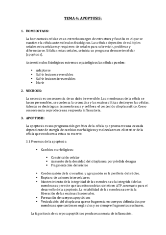 TEMA 4 (6).pdf