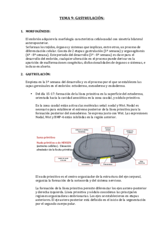 TEMA 9 (9).pdf