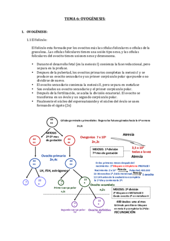 TEMA 6 (5).pdf
