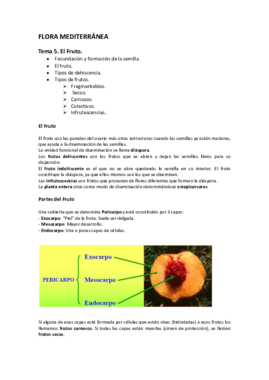 Tema 5. El Fruto.pdf