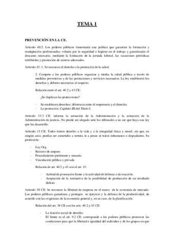 Marco Normativo PRL cortos.pdf