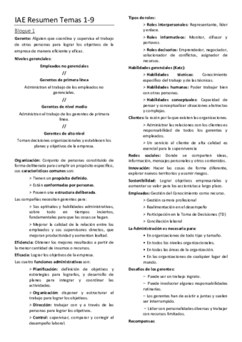 IAE Resumen Temas 1-9.pdf