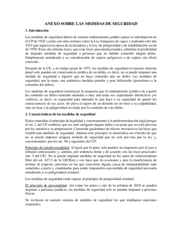 ANEXO SOBRE LAS MEDIDAS DE SEGURIDAD.pdf
