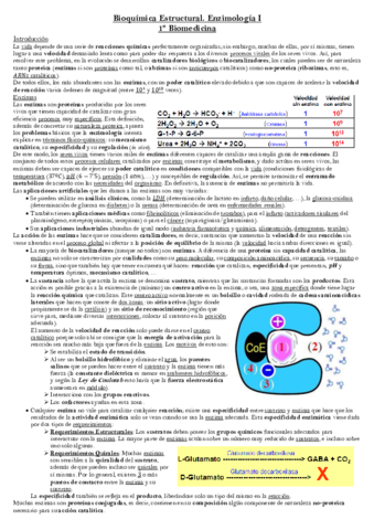 Enzimología 1.pdf