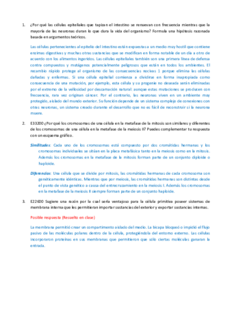 Preguntas cortas BC-TODAS.pdf