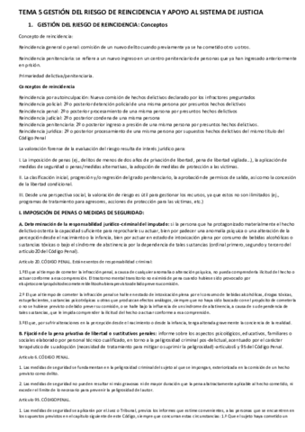 TEMA 5 GESTIÓN DEL RIESGO DE REINCIDENCIA Y APOYO AL SISTEMA DE JUSTICIA.pdf