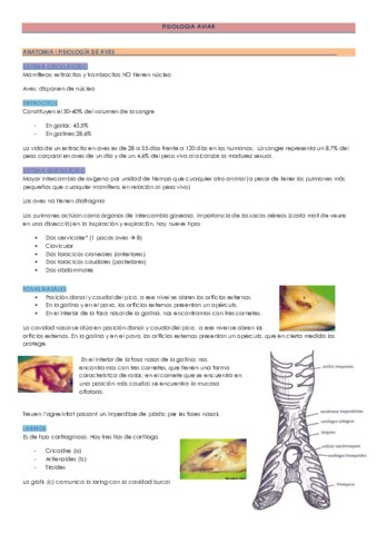 FISIOLOGIA AVIAR.pdf