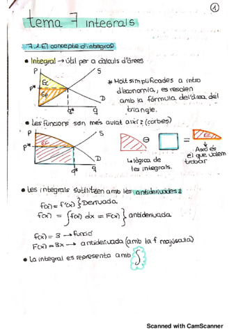 tema 7 integrals.pdf